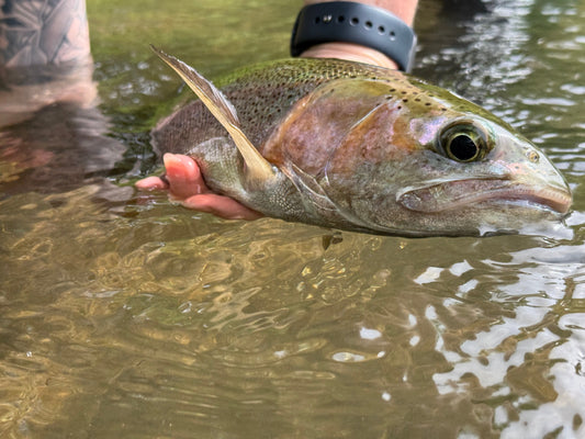 Wednesday 29th October 2025