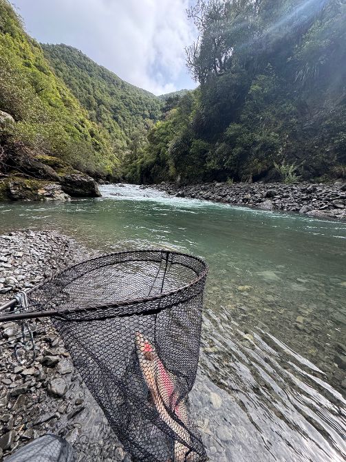 Monday 6th Of October