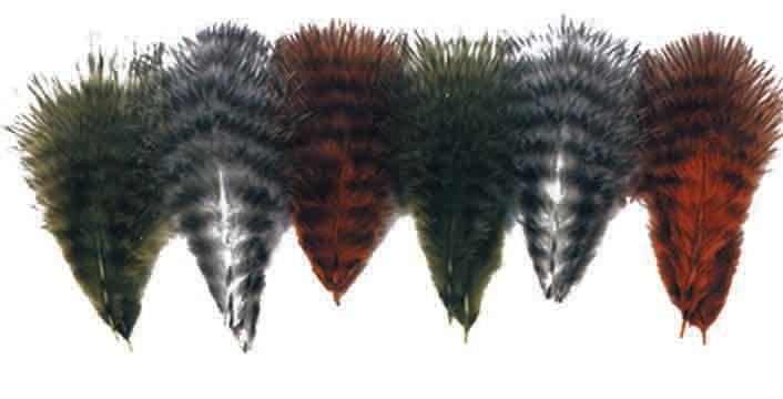 Hackles & Feathers