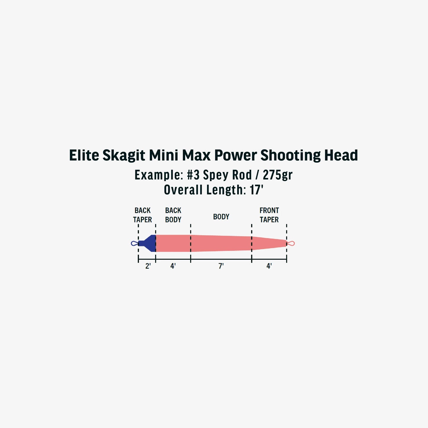 Rio Elite Skagit Mini Max Power (Shooting Head) - Sportinglife Turangi