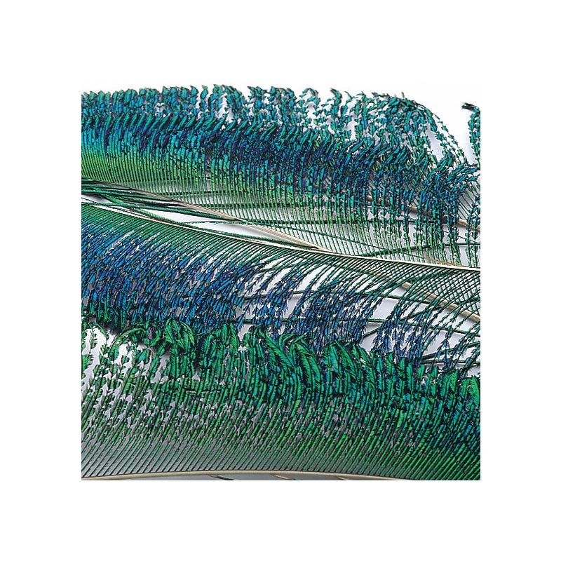 Veniard Peacock Sword Feathers - Sportinglife Turangi
