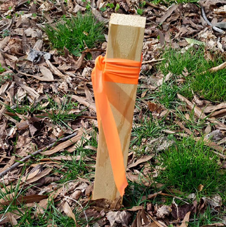 Flagging Tape