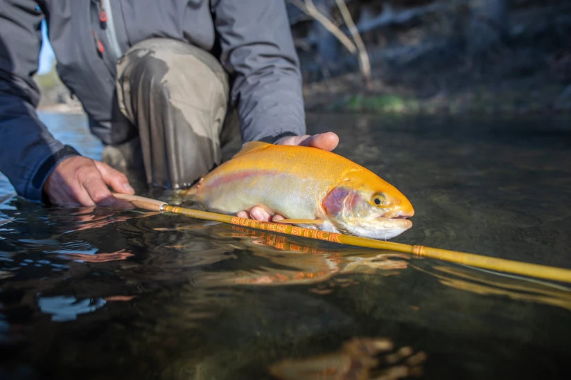 Redington Butterstick 2022 580-4 - Sportinglife Turangi