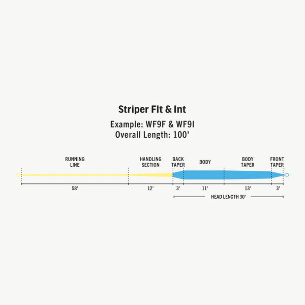 RIO Premier Striper Floating Line - Sportinglife Turangi