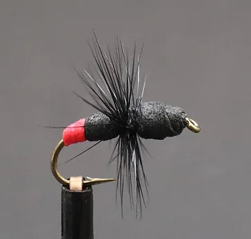 Trailer Trash - Sportinglife Turangi