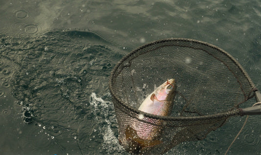 Wednesday 7th January 2026