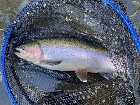 Friday 24th April 2026