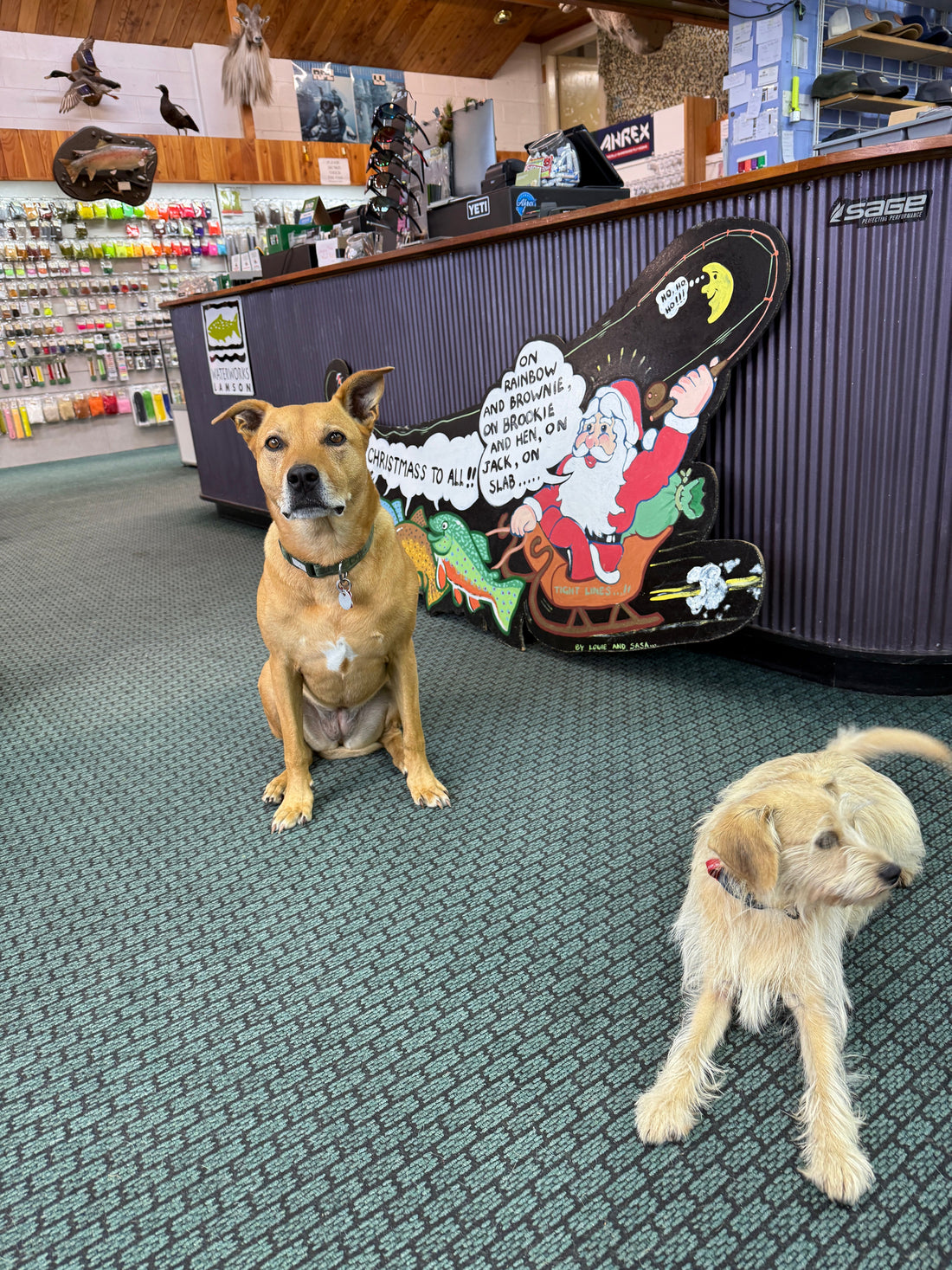 Wednesday 24th December 2025