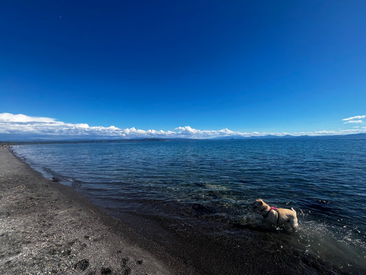 Friday 7th November 2025