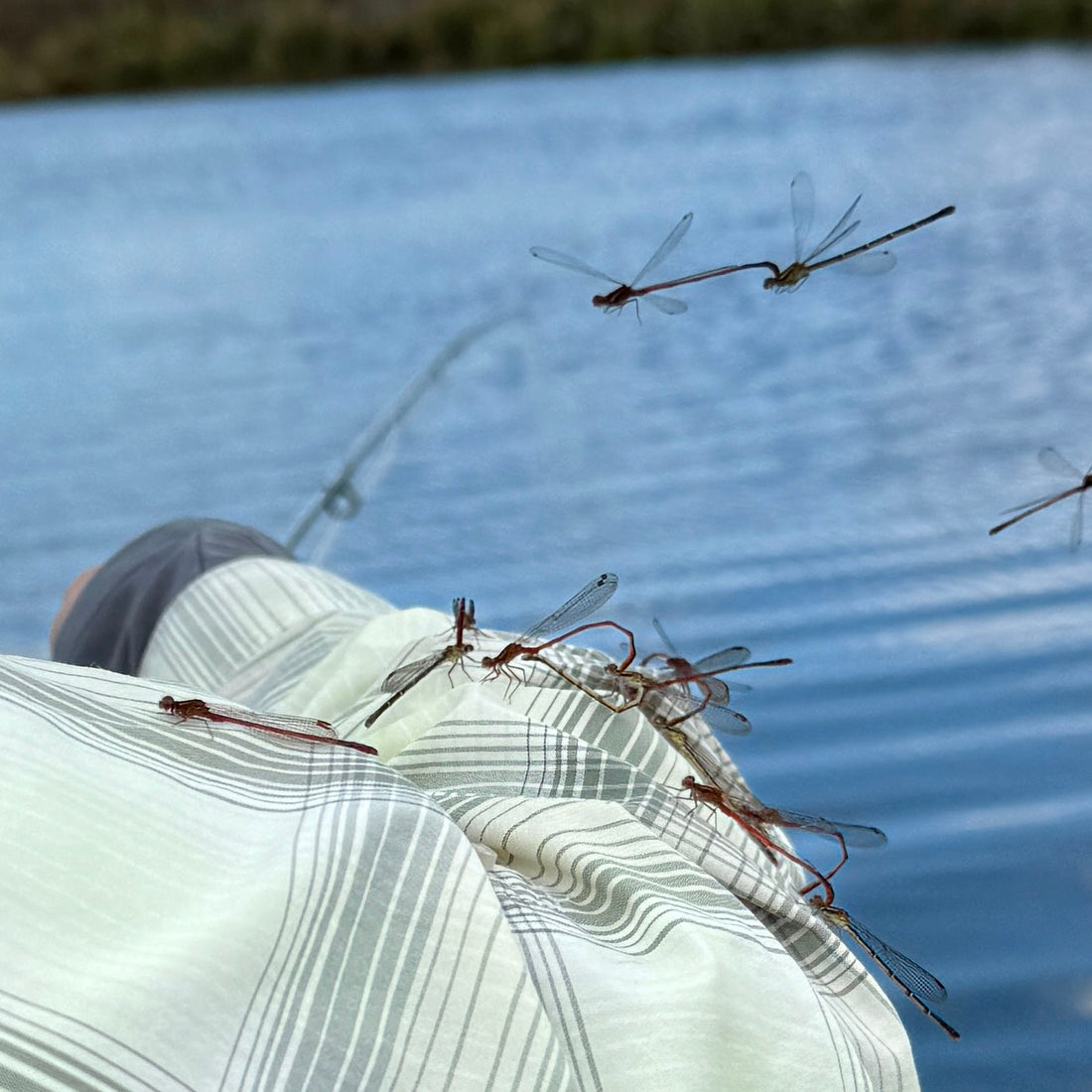 Saturday 20th December 2025