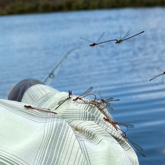 Saturday 20th December 2025