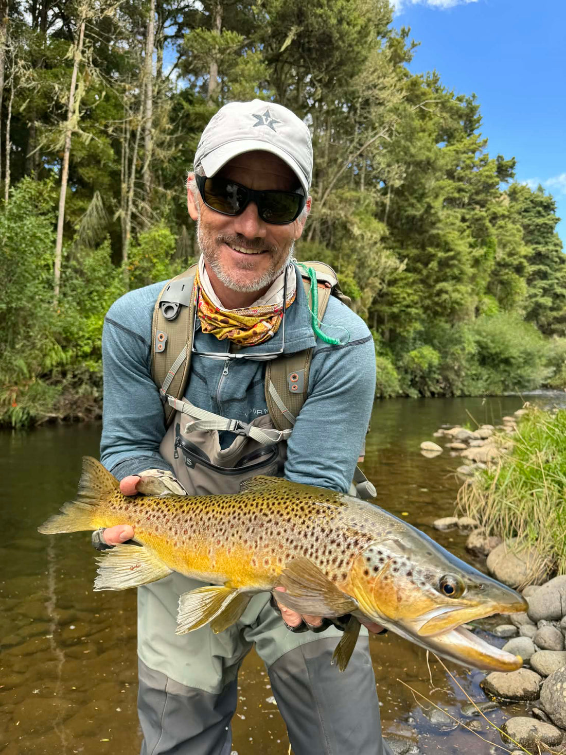 Sunday 15th February 2026