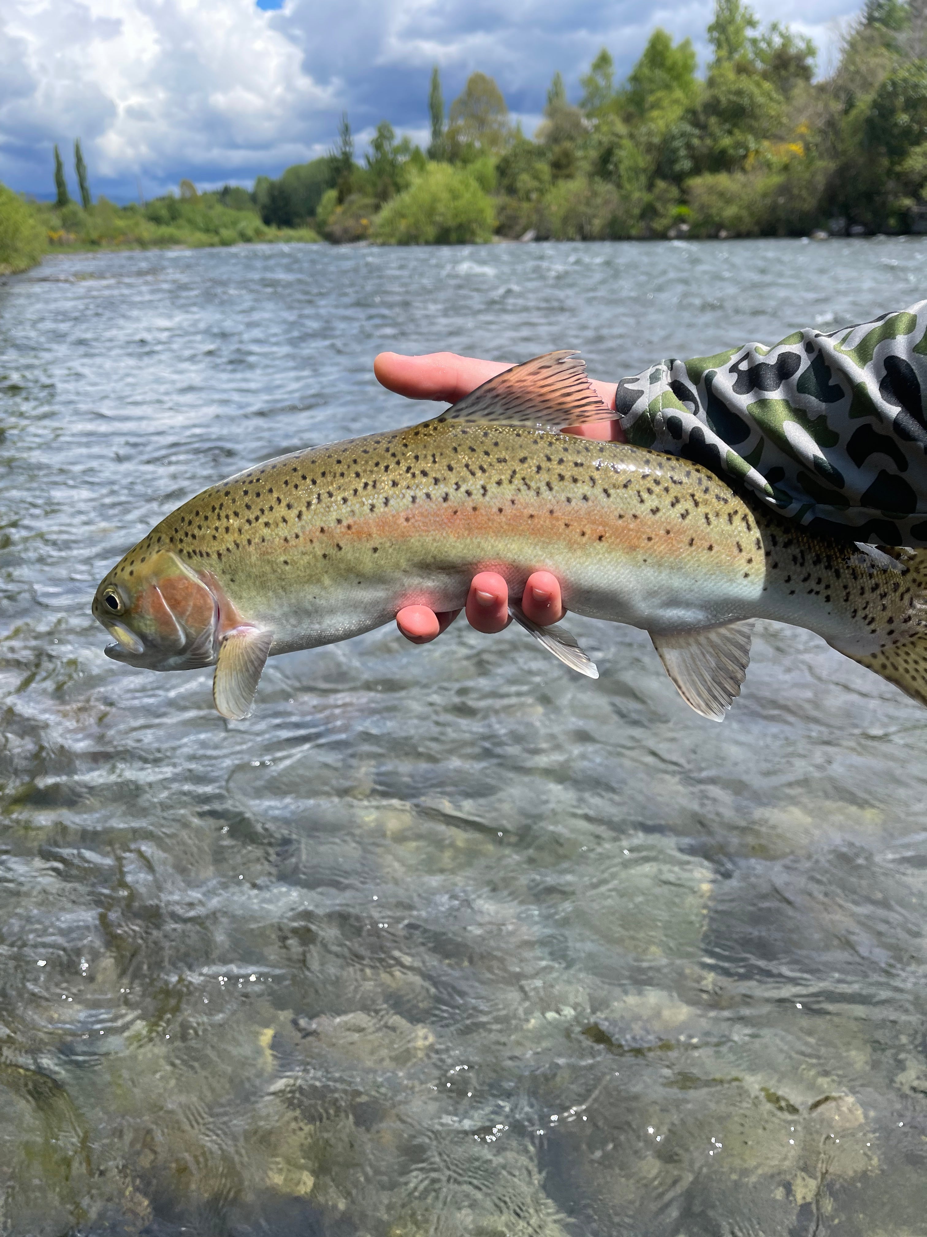 Monday 15th January 2024 Sportinglife Turangi