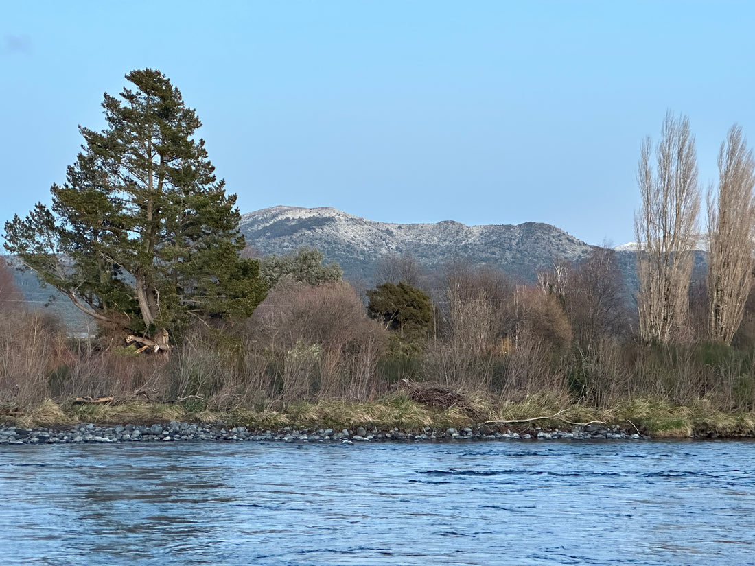 ❄ Snowy Views in Turangi ❄