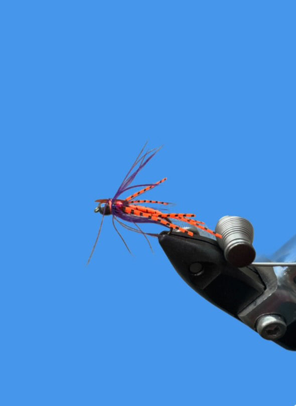 Doshed Up - Category 3 Fly Company - Sportinglife Turangi 