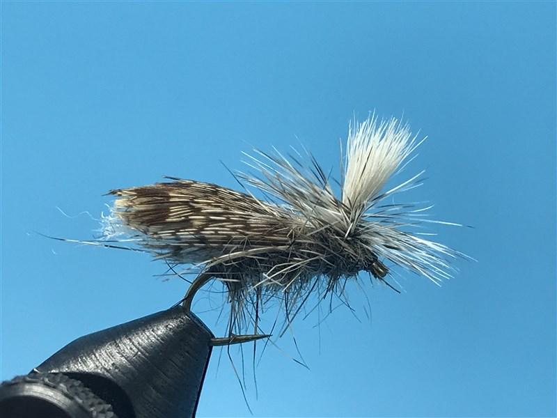 E-Z Caddis - Sportinglife Turangi 