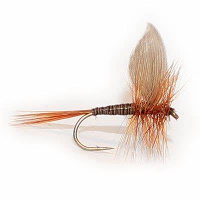 Dads Favourite Fly - Sportinglife Turangi 