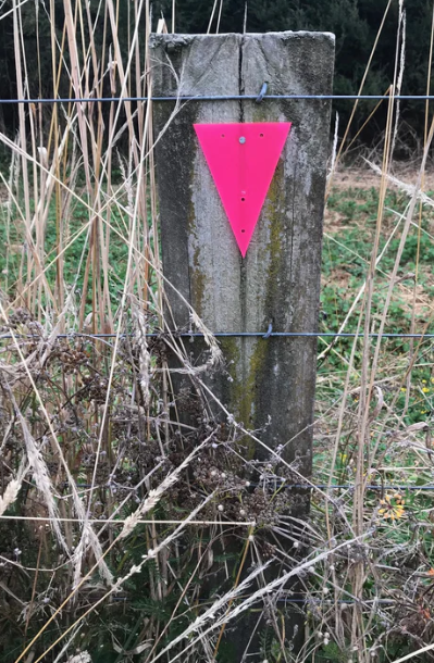 Triangle Part Marker Triangle Markers (10 Pack) | Sportinglife Turangi
