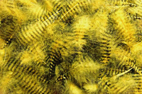 Hends Grizzly Marabou