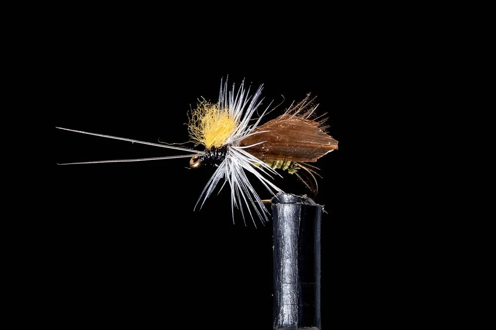 Lacemoth Fly - Sportinglife Turangi 