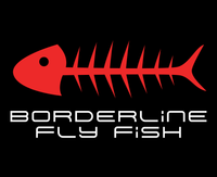 Borderline Jig Hook Wide Gape - Heavy Wire #10 25 per pack
