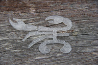 Flats Craft The Mutineer Crab - Transparent - Sportinglife Turangi 