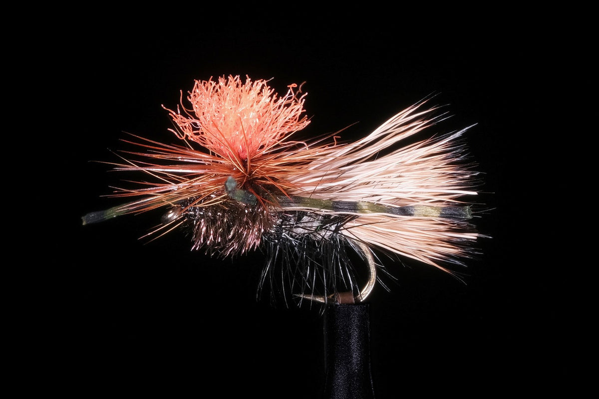 PMX - Hi Viz #08 & #10