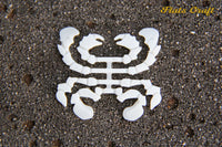 Flats Craft Moon Crabs - White - Sportinglife Turangi 