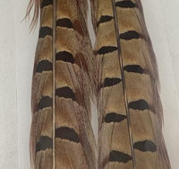 Wapsi Pheasant Tail Feathers Pair - Sportinglife Turangi 