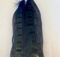 Wapsi Pheasant Tail Feathers Pair - Flytackle NZ