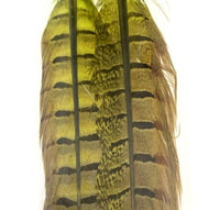 Wapsi Pheasant Tail Feathers Pair - Flytackle NZ