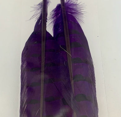 Wapsi Pheasant Tail Feathers Pair - Flytackle NZ