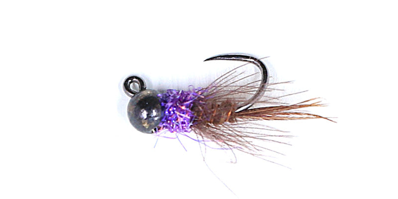 Black TB Frenchie Purple Dub with CDC Collar #16 - Sportinglife Turangi 