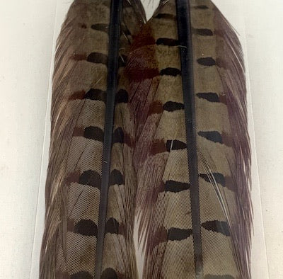 Wapsi Pheasant Tail Feathers Pair - Flytackle NZ