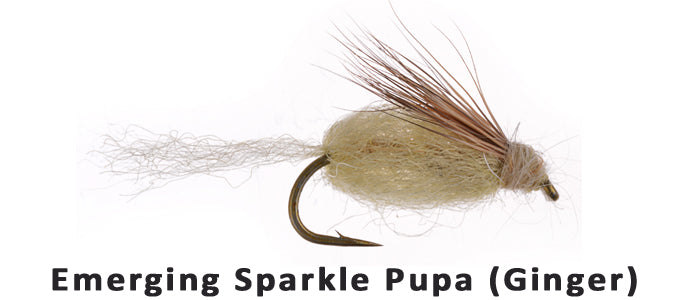 Emerger Sparkle Pupa (Ginger) #14 - Flytackle NZ