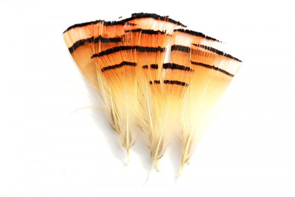 Wapsi Golden Pheasant Tippets - Flytackle NZ