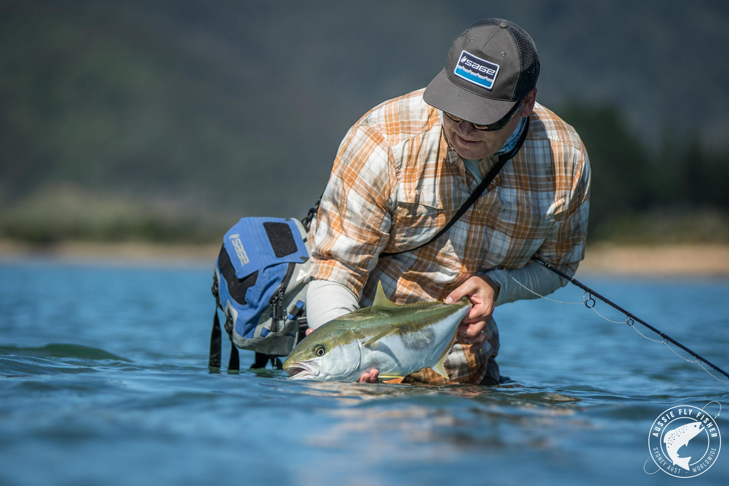 Sage Salt HD Rod - Saltwater premium - Flytackle NZ