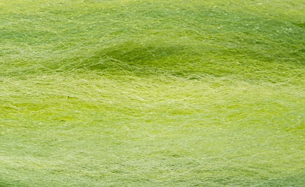 Semperfli Predator Fibres - Sportinglife Turangi 