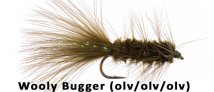Wooly Bugger (Olive) - Flytackle NZ