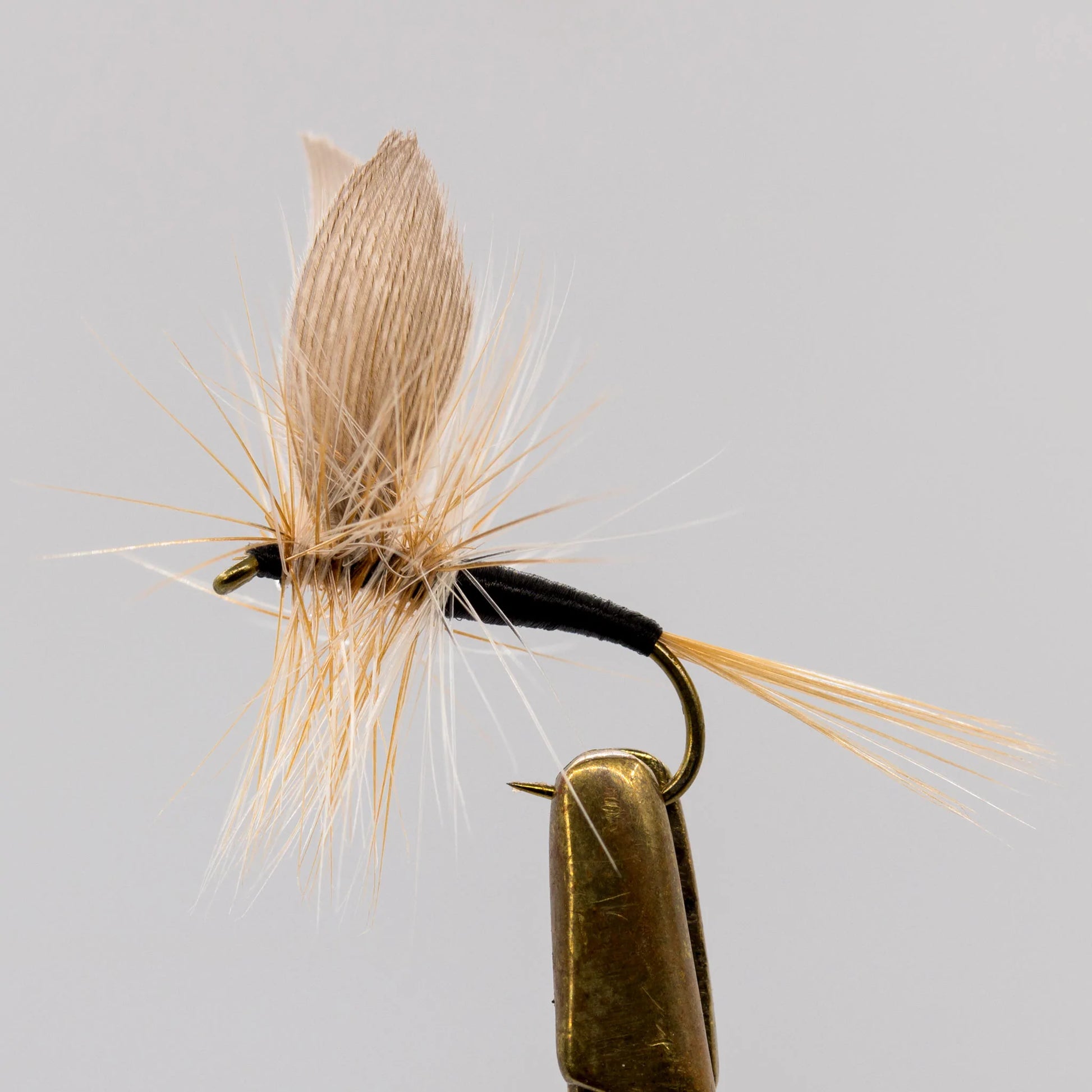 Twilight Beauty Dry Fly - Sportinglife Turangi 