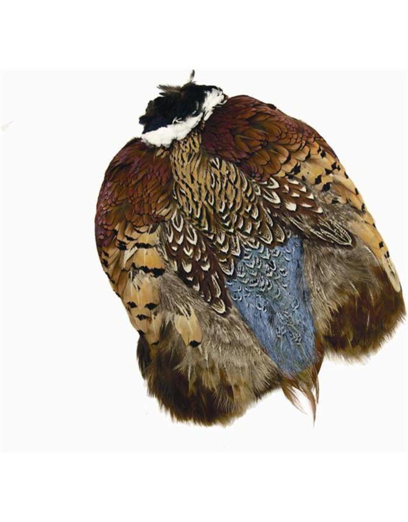 Wapsi Ringneck Pheasant Skin - Flytackle NZ